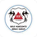 USA Academy Belo Horizonte logo
